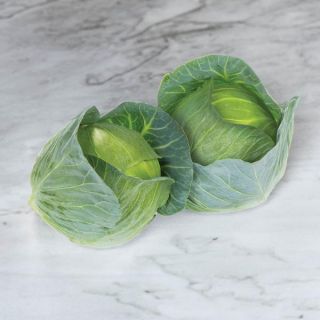 Swingma RZ Cabbage Thumbnail